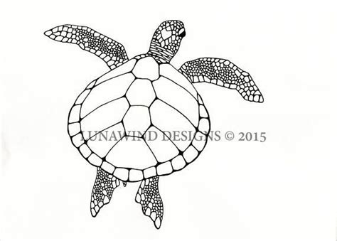 sea turtle animal artwork coloring nursery design children art etsy