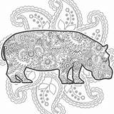 Hippo Zentangle Paisley Stress sketch template