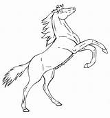 Horse Rearing Coloring Pages Drawing Horses Sketch Lineart Drawings Wild Line Printable Mustang Stallion Template Color Sketches Colorings Deviantart Getdrawings sketch template