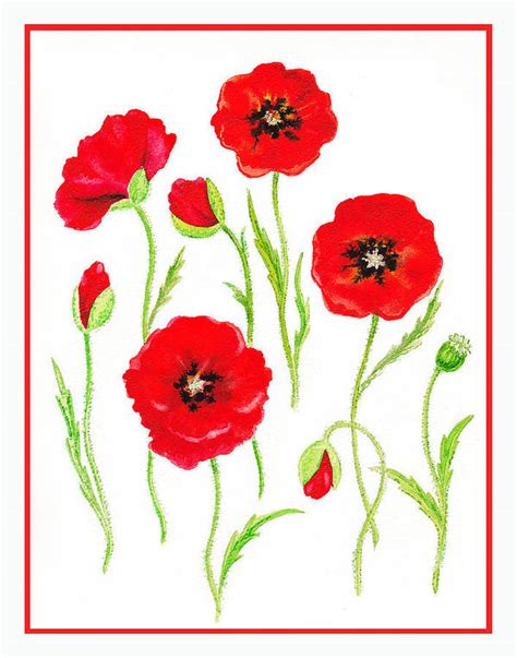 Red Poppies Art Print By Irina Sztukowski