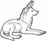 Wolf Pup Maned Deviantart sketch template