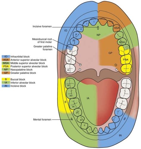 teaching shift series dental emergencies county em otolaryngology