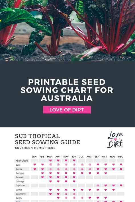 seed sowing chart  southern hemisphere vegetable garden tips