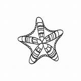 Starfish Coloring2 sketch template