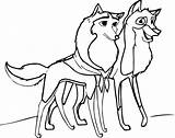Wolf Coloring Cute Pages Baby Wolves Drawings Minecraft Getdrawings Getcolorings Printable Anime Clipartmag Print Colorings sketch template