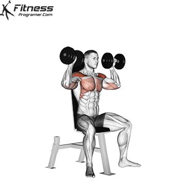 dumbbell shoulder press benefits muscles worked