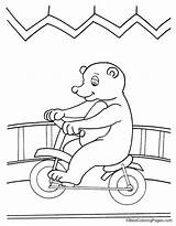 Cycling Bear Coloring sketch template
