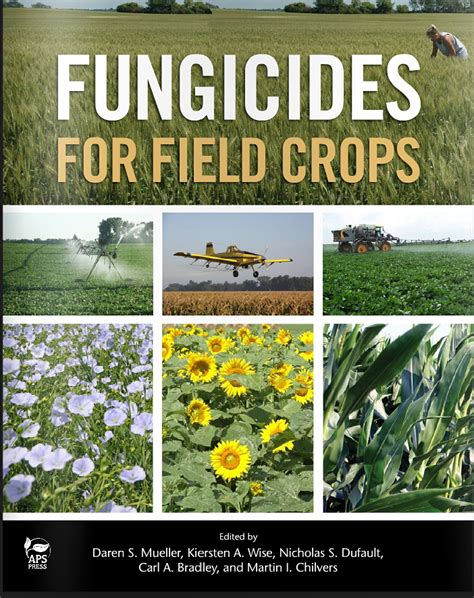New Publication Helps Crop Producers Decide On Fungicides Purdue