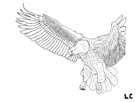 ms paint flying bald eagle lineart  zeecaptein  deviantart