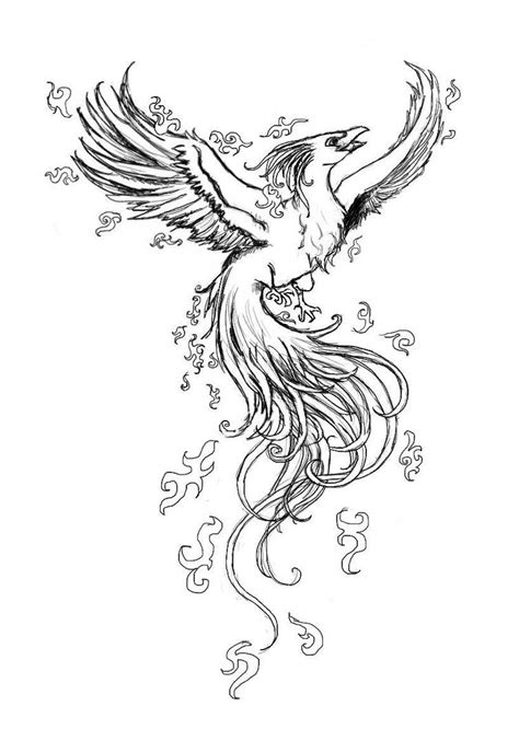 pix  phoenix rising drawings phoenix tattoo phoenix drawing