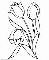 Coloring Pages Adults Flower Flowers Popular sketch template