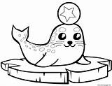 Seal Coloring Baby Pages Ice Cute Printable Floe Cartoon Animals Seals Print Harp Book sketch template