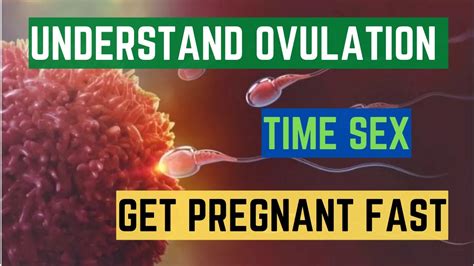 Let S Talk About Sex To Get Pregnant Which Time Is Good For Sex To Get