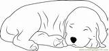 Dog Sleeping Coloring Pages Printable Dogs Coloringpages101 Template Animals Kids sketch template