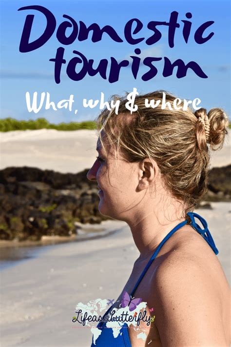 domestic tourism explained what why and where tourism