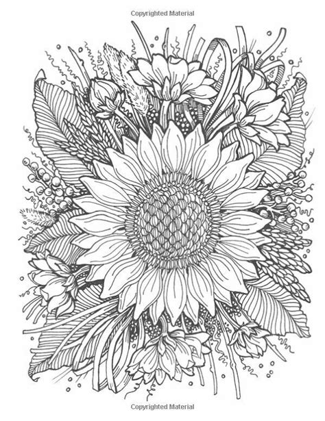 sunflower coloring pages  adults barry morrises coloring pages