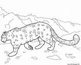 Leopard Snow Coloring Pages Leopards Amur Printable Animal Colouring Template Clipart Clouded Drawing Mountain Drawings Cat sketch template
