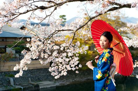 Japan Australia See The Cherry Blossoms In Japan With A Rail Pass