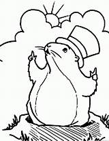 Woodchuck Groundhog sketch template