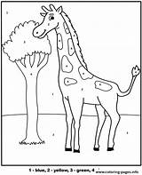 Giraffe Pokoloruj Zyrafa Wedlug Kolorowanki Kolorowanka Druku żyrafa Edukacyjne sketch template