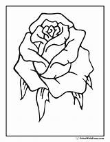 Rose Coloring Bud Rosebud Pages Single Printable Color Designlooter Pdf Printables Colorwithfuzzy 85kb sketch template