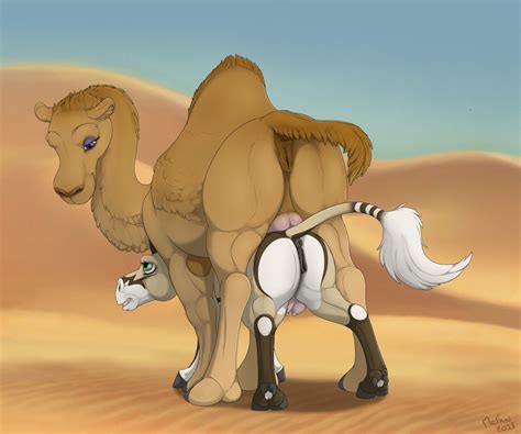 Rule 34 2018 Anthro Anus Ass Calira Mcfan Camel Camelid Crotchboobs