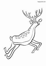 Deer Reh Hirsch Springender Deers Ausmalbild Jumping Mammals Fallow Malvorlage Kostenlos sketch template