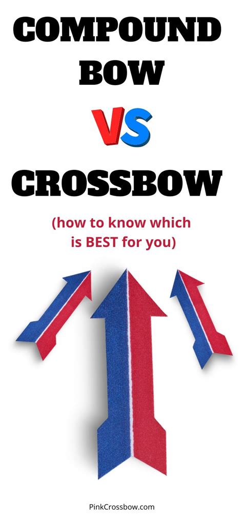 crossbow  compound bow    compound bow crossbow crossbow arrows