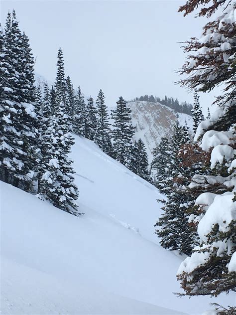 natural avalanche in new snow at the throne gallatin national forest