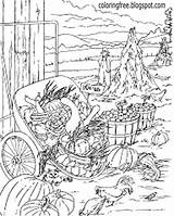 Plantation Coloring Pages Adults Vegetable Garden Template Harvest sketch template