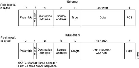 ethernet lans networks for dummies