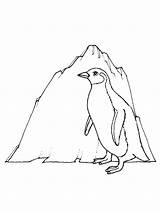 Penguin Coloring Drawings Animal sketch template