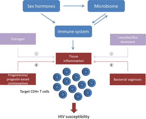 role of sex hormones and the vaginal microbiome in susceptibility and