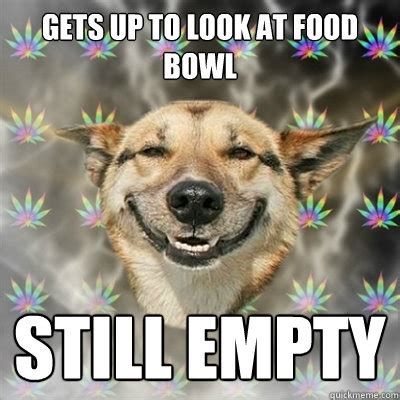 food bowl  empty stoner dog quickmeme