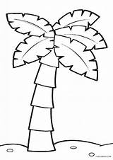 Cool2bkids Palme Kelapa Untuk Yang Baum Koleksi Pokok Zum sketch template