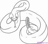 Snake Coloring Rattlesnake Draw Pages Diamondback Drawing Rattle Coral Rattlesnakes Western Clipart Sheet Drawings Printable Color Snakes Kids Colouring Cliparts sketch template