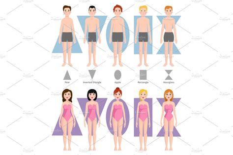 Vector Illustration Of Different Body Shape Types Pre Designed