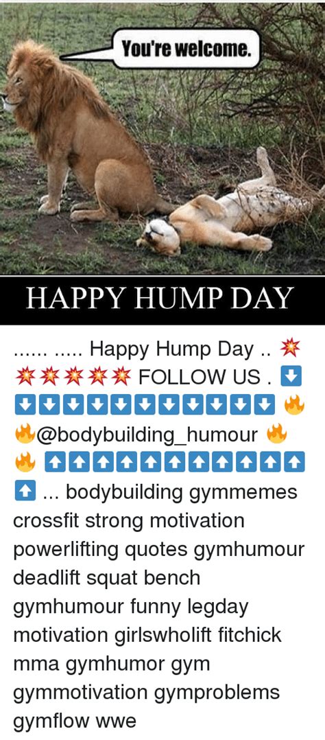 search hump day memes on me me