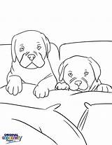 Coloring Bed Pages Dog Dogs Divyajanani Marvelous Galleries Birijus sketch template