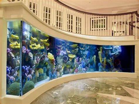 Cool Entry Room Wall Aquarium Decoration Ideas Pictures Your Dream 