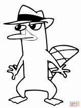 Coloring Perry Agent Platypus Pages Sneaking Around Drawing sketch template