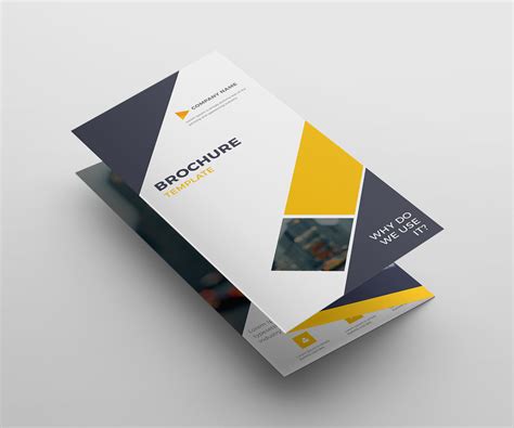 tri fold brochure template  behance