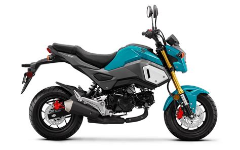 honda grom buyers guide specs prices ultimate motorcycling