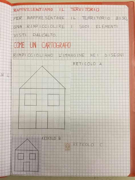La felce da appartamento è particolarmente adatta come pianta ricadente. Mappe, piante, carte | Blog di Maestra Mile