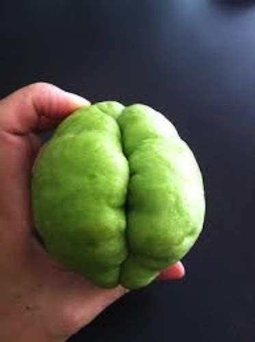 19 Fruits And Vegetables That Look Like Sexy Body Parts