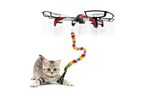 news  cat drone  purr fect  test pit