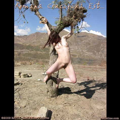 bdsm outdoor slave outdoor sklavin draussen 22 pics xhamster