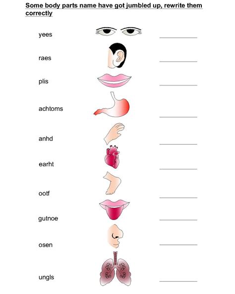 body part names jumbled word worksheets