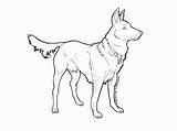 German Shepherd Coloring Base Dog Pages Deviantart Popular Coloringhome sketch template