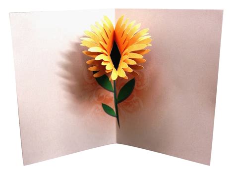 flower birthday pop  card template printable diy etsy